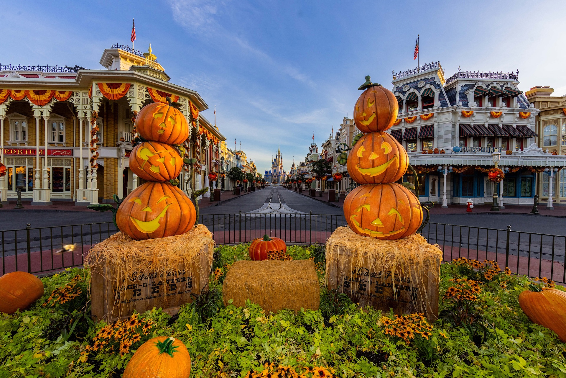 Walt Disney World 2025 Fall Season Pumpkins on Main Street