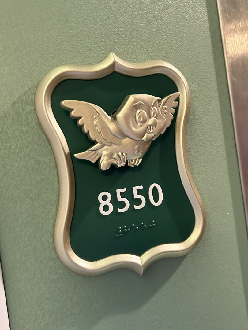 Disney Wish Owl Extender Aurora Hallway