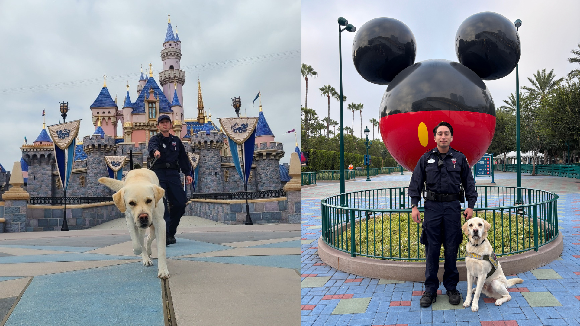 Joey and Thor at Disneyland
