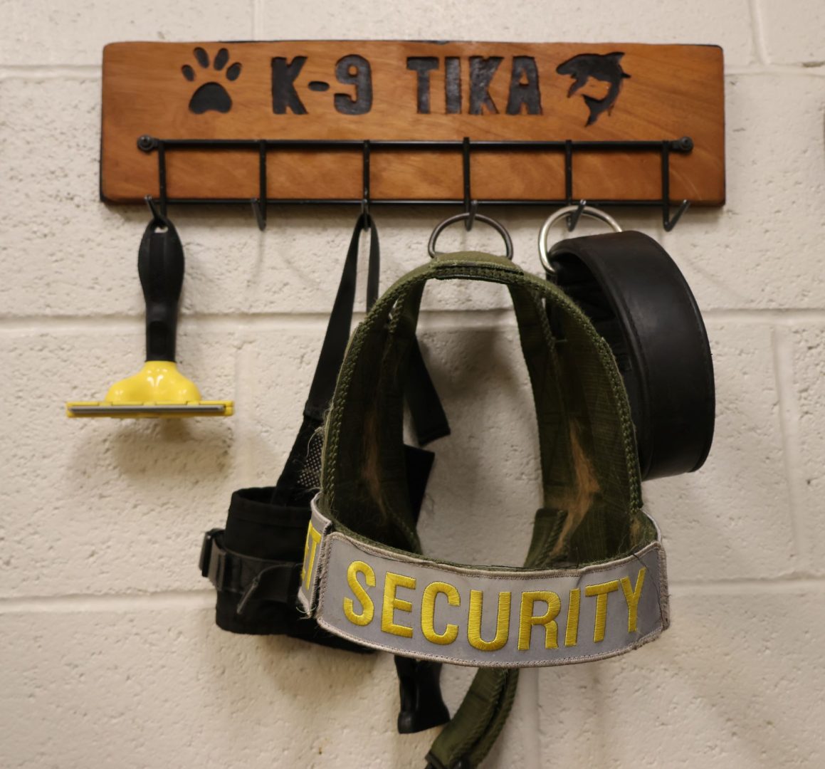 K9 Dog Tika at Disneyland