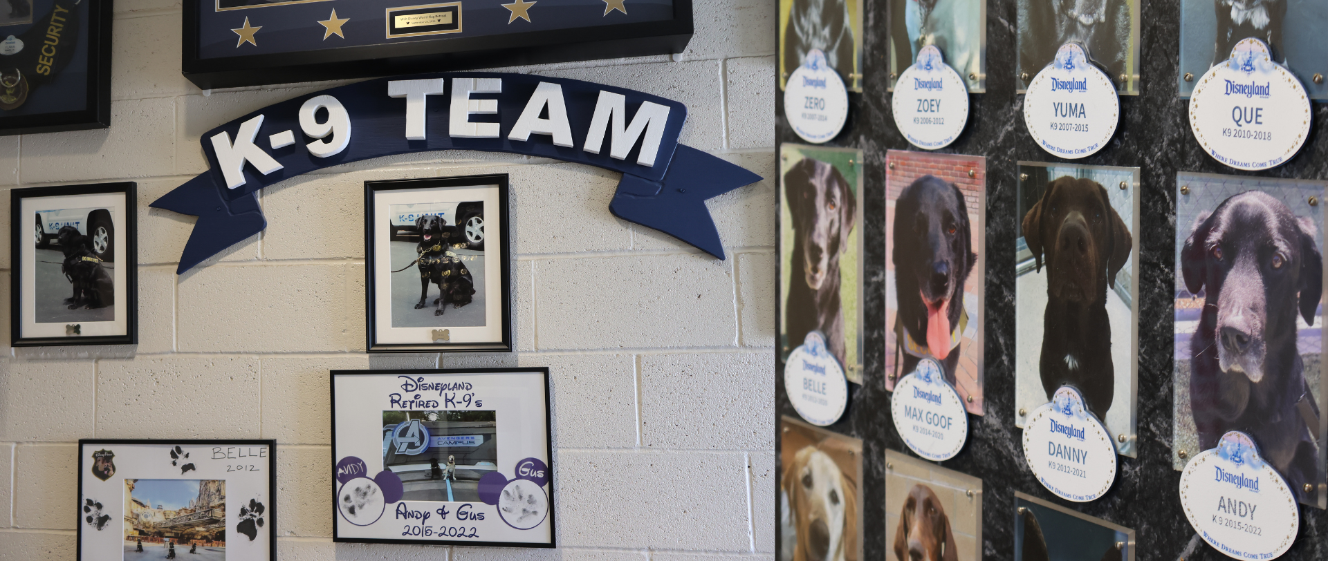 K9 Team at Disneyland