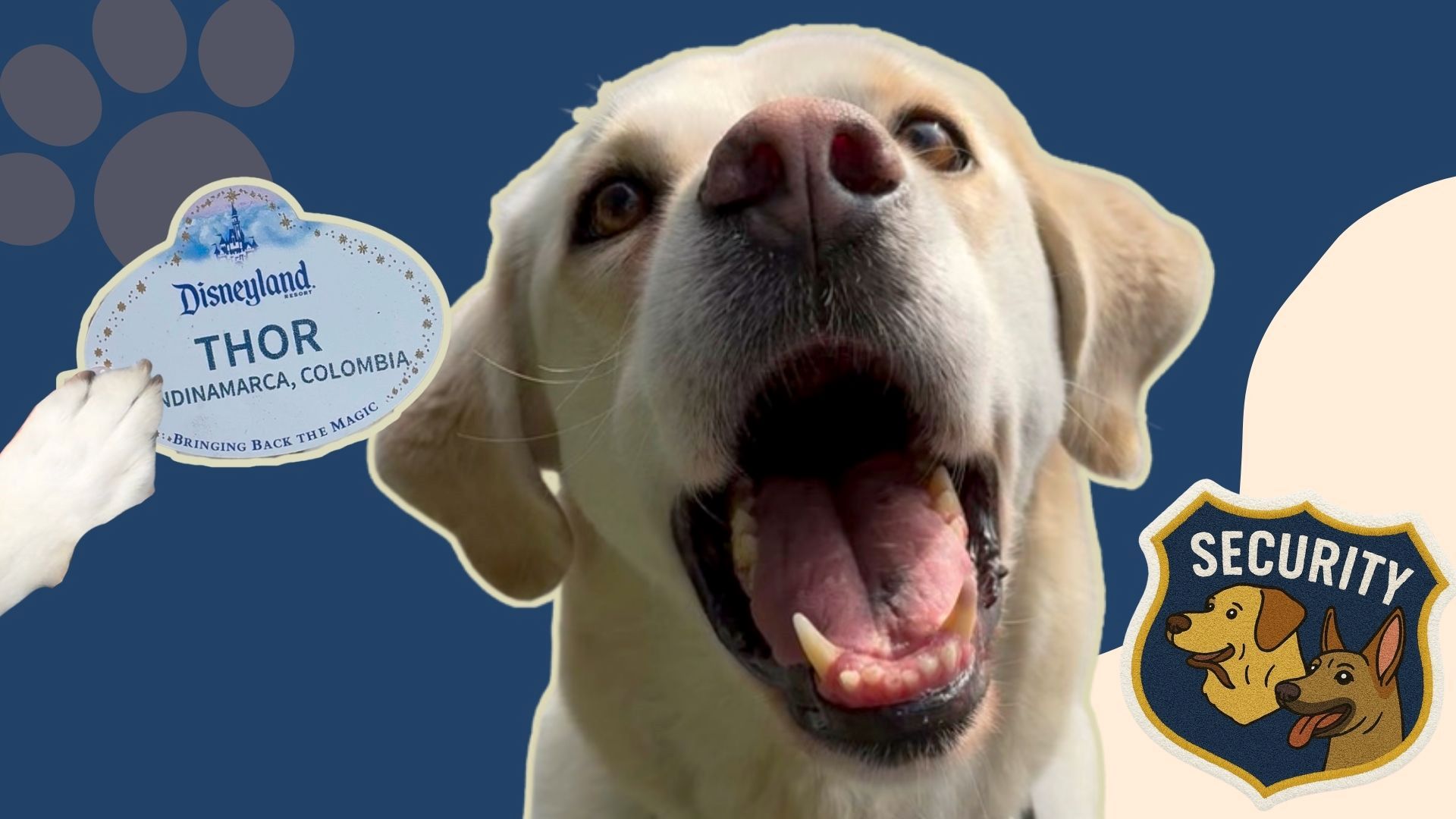 Meet the Paw-fect Cast Members of Disneyland Resort