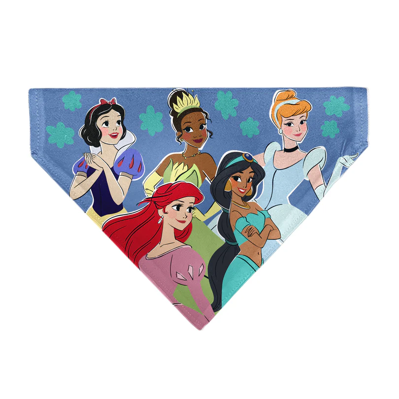 Buckle-Down | Disney Princess Collection 