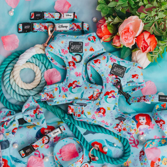 Sassy Woof Disney Princess Collection 