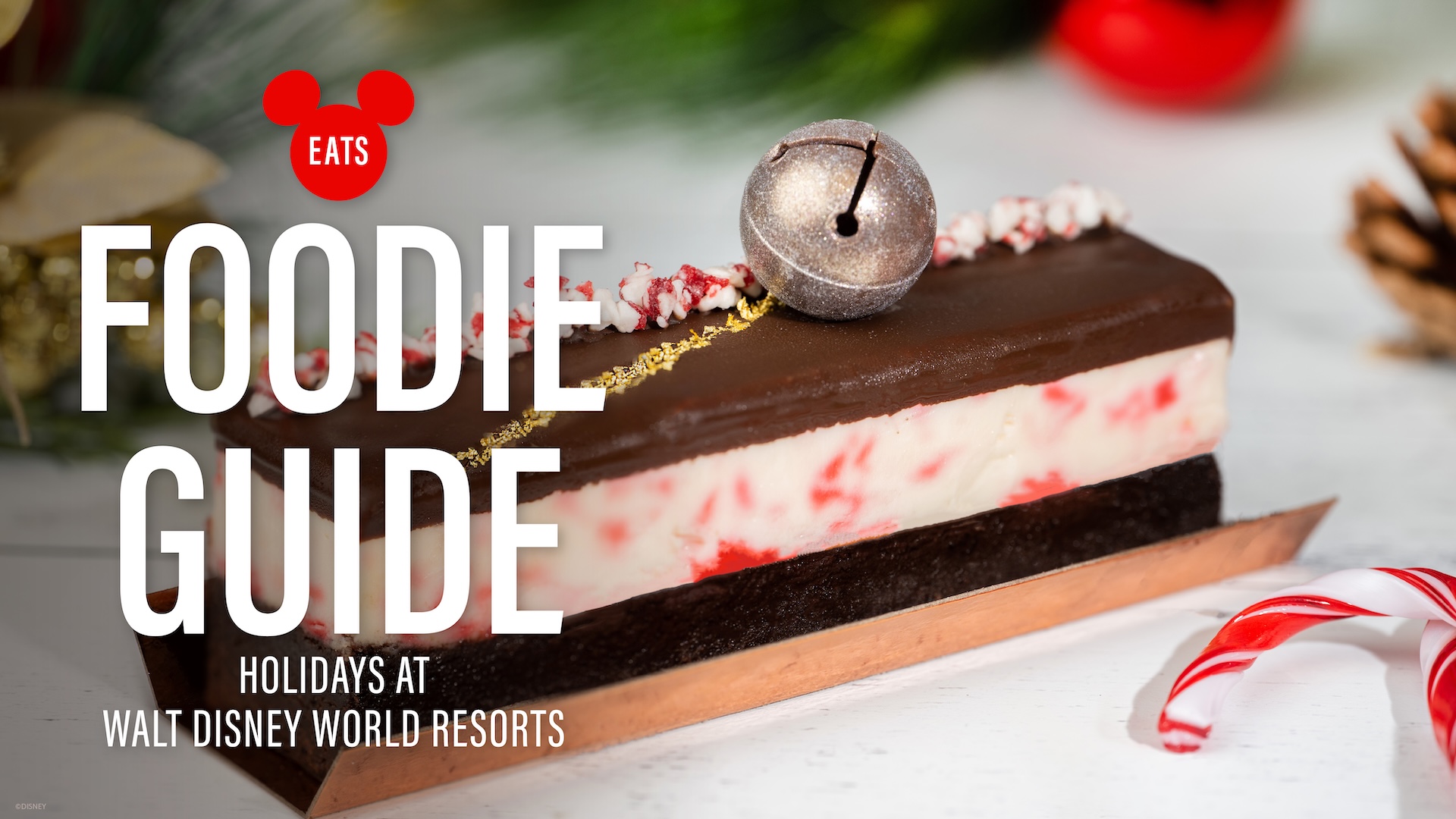 Walt Disney World Resorts Holiday Foodie Guide