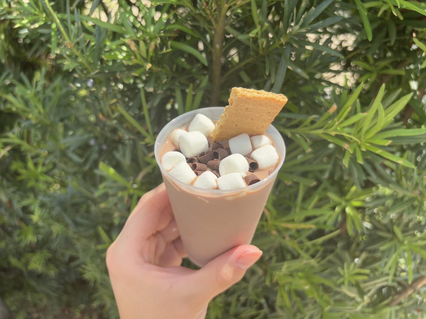 Festival Favorites EPCOT Frozen S'more