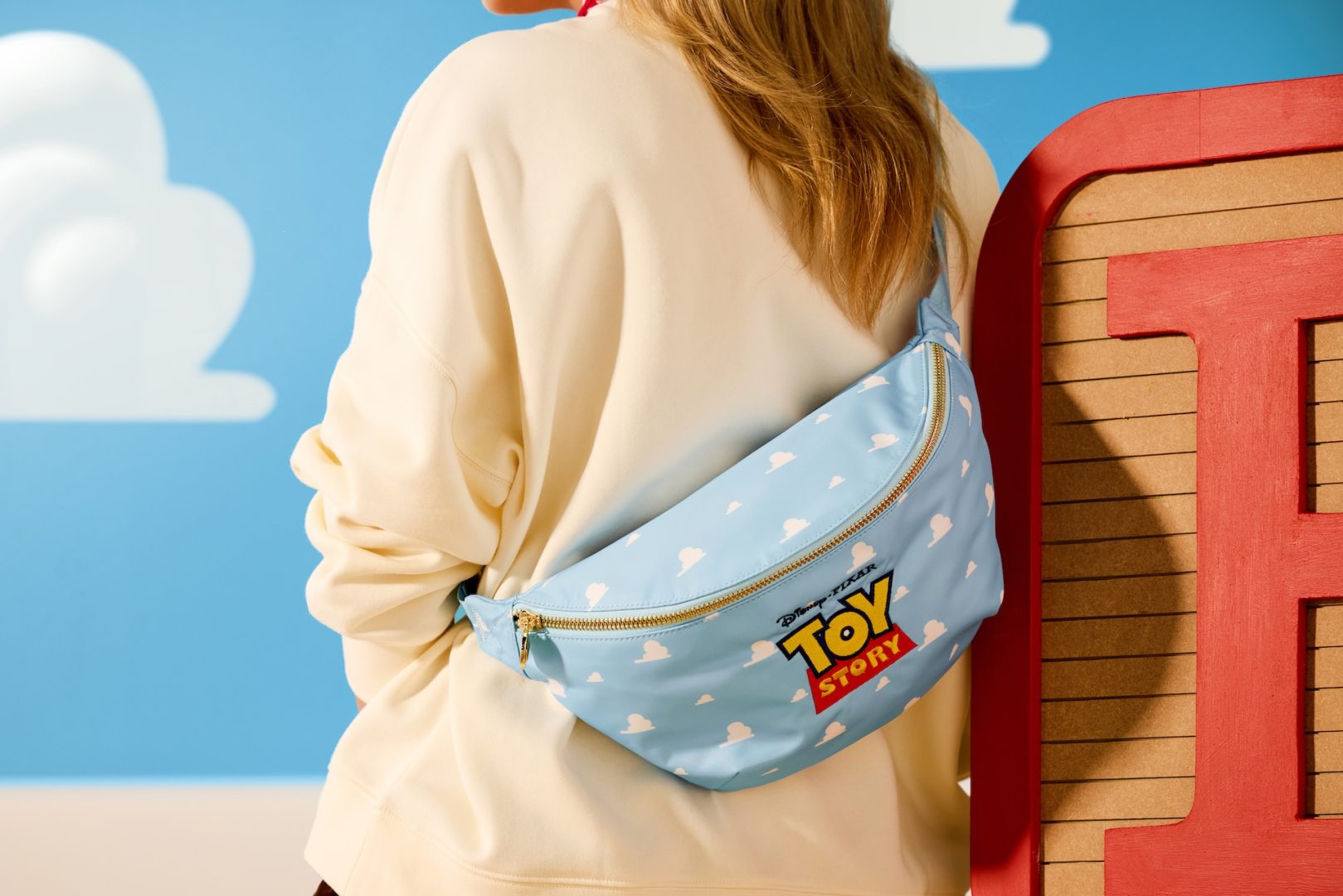 Toy Story 30th Merchandise Collection