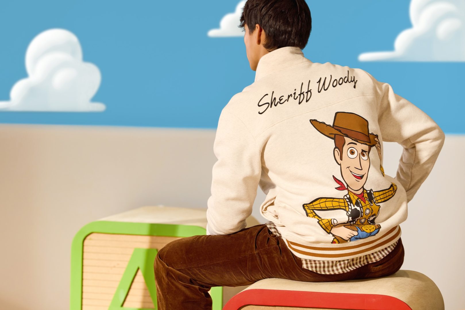 Toy Story 30th Merchandise Collection