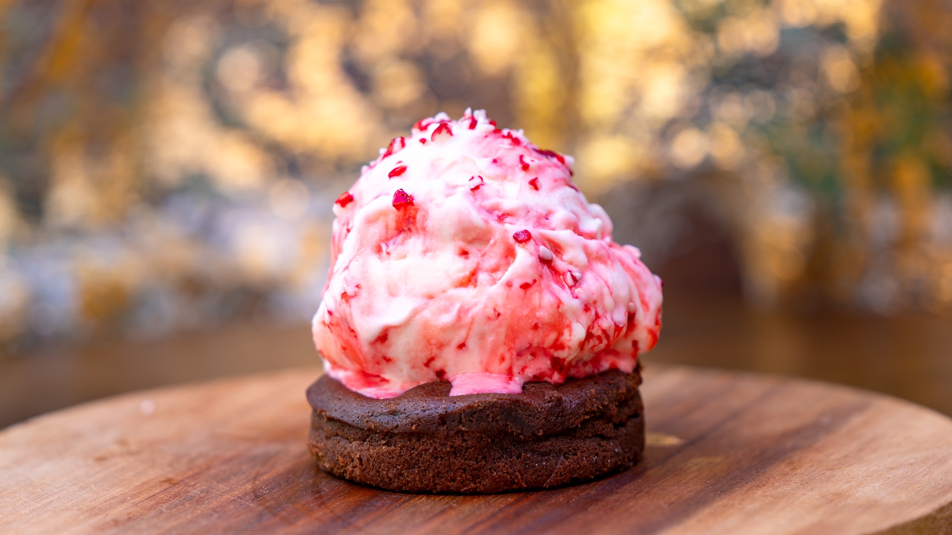 Chocolate-Peppermint Lava Cake: Warm chocolate lava cake topped with a scoop of peppermint ice cream