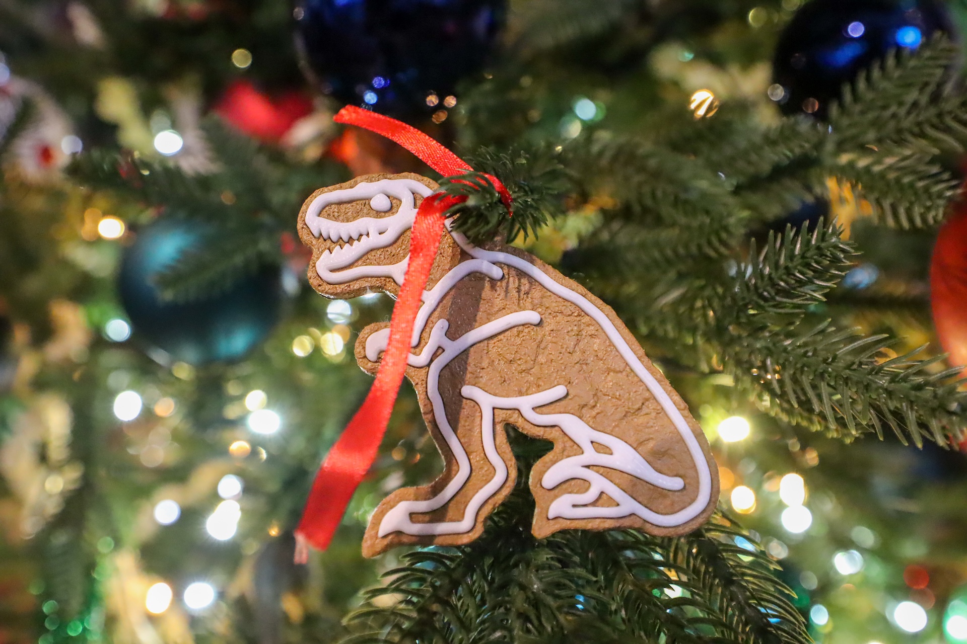 Where to Meet Santa at Disney World This Holiday Season