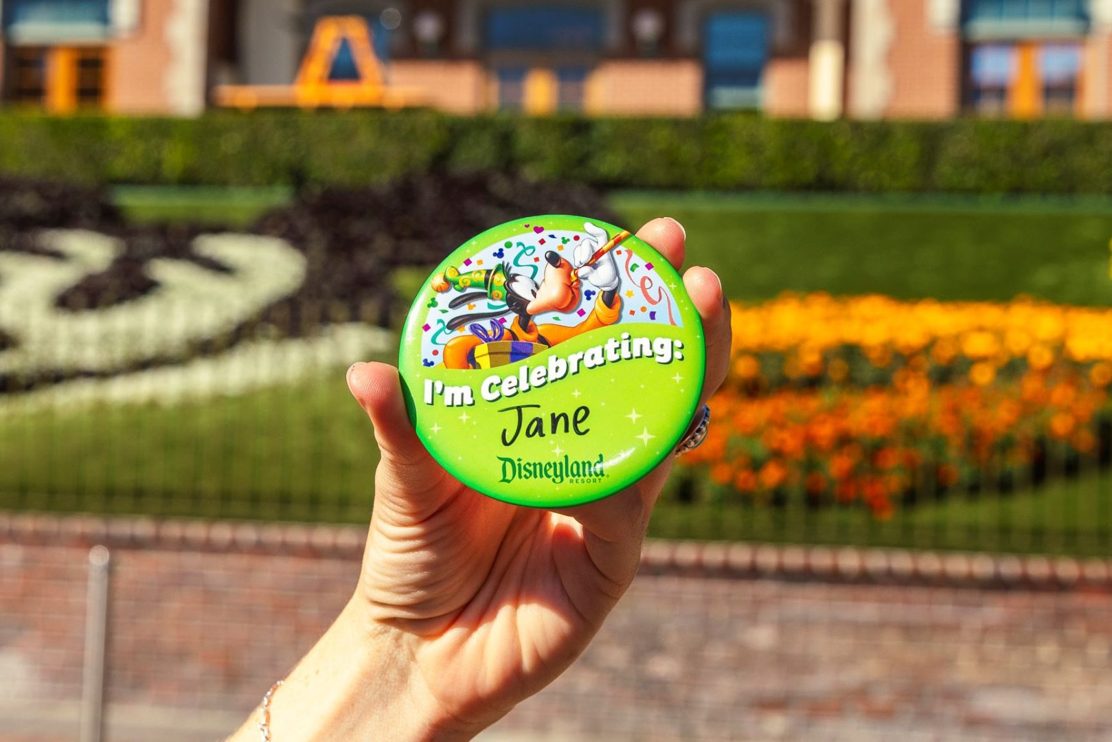 Disneyland Resort Souvenir Guide Freebies, Merch and More
