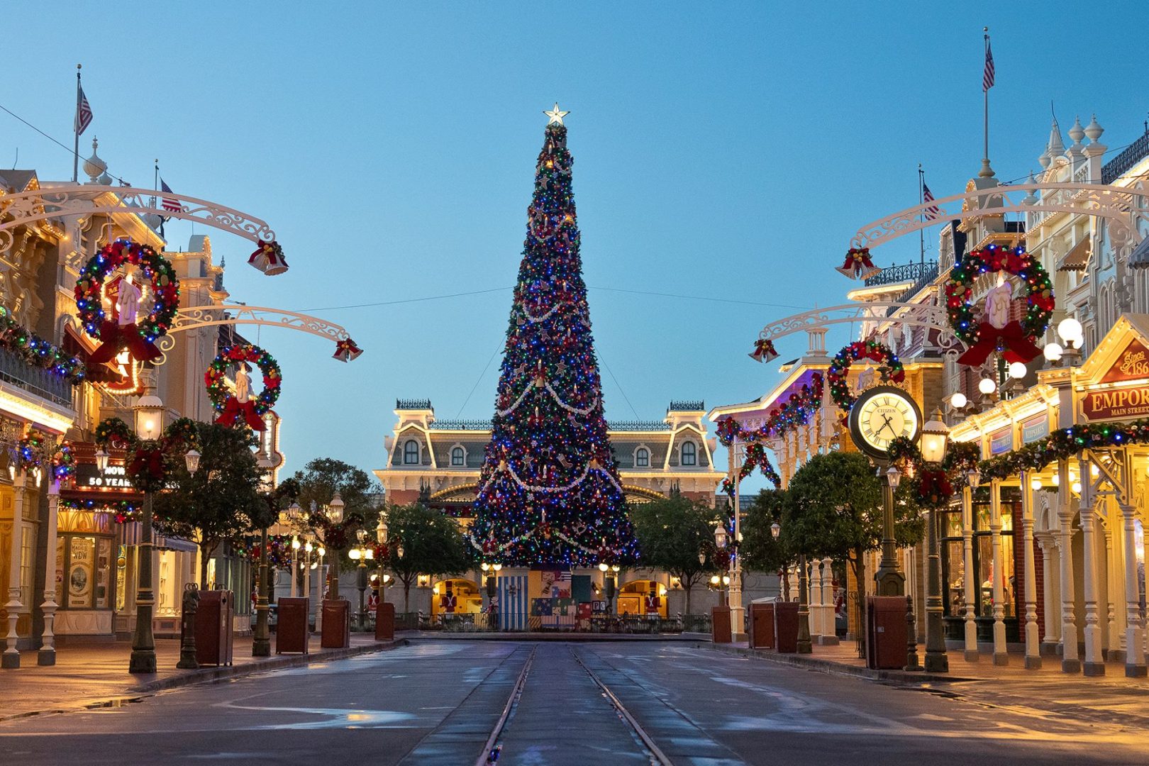 Magic Kingdom Christmas Tree Transformation