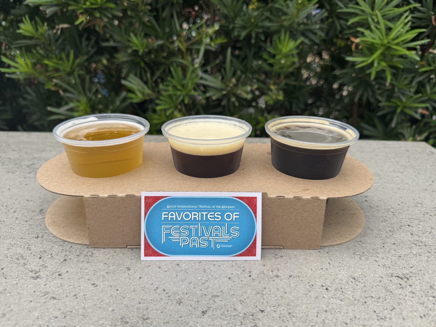 2025 Festival Favorites Flight