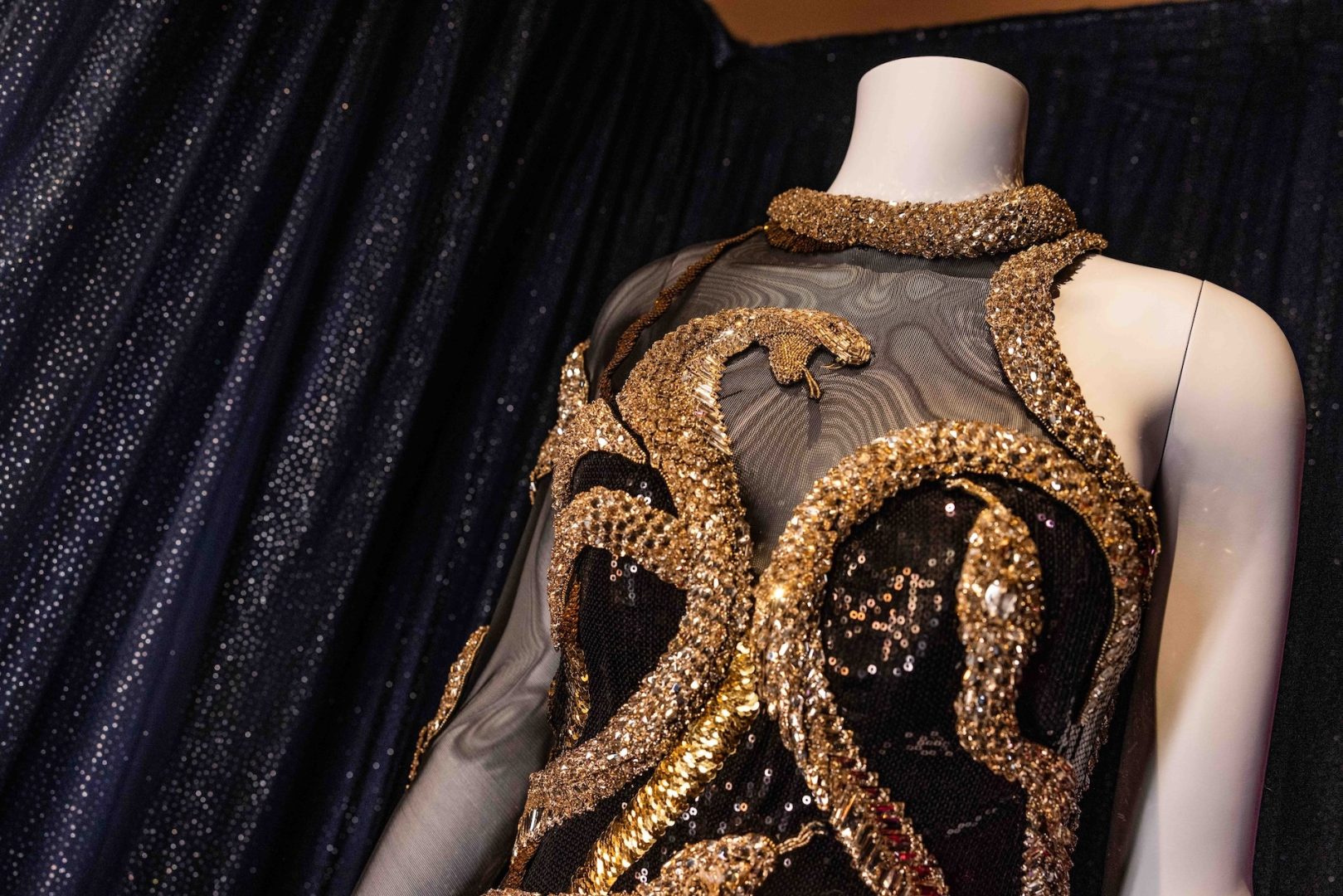 Taylor Swift Eras Tour “reputation" costume on exhibit at Hollywood Studios