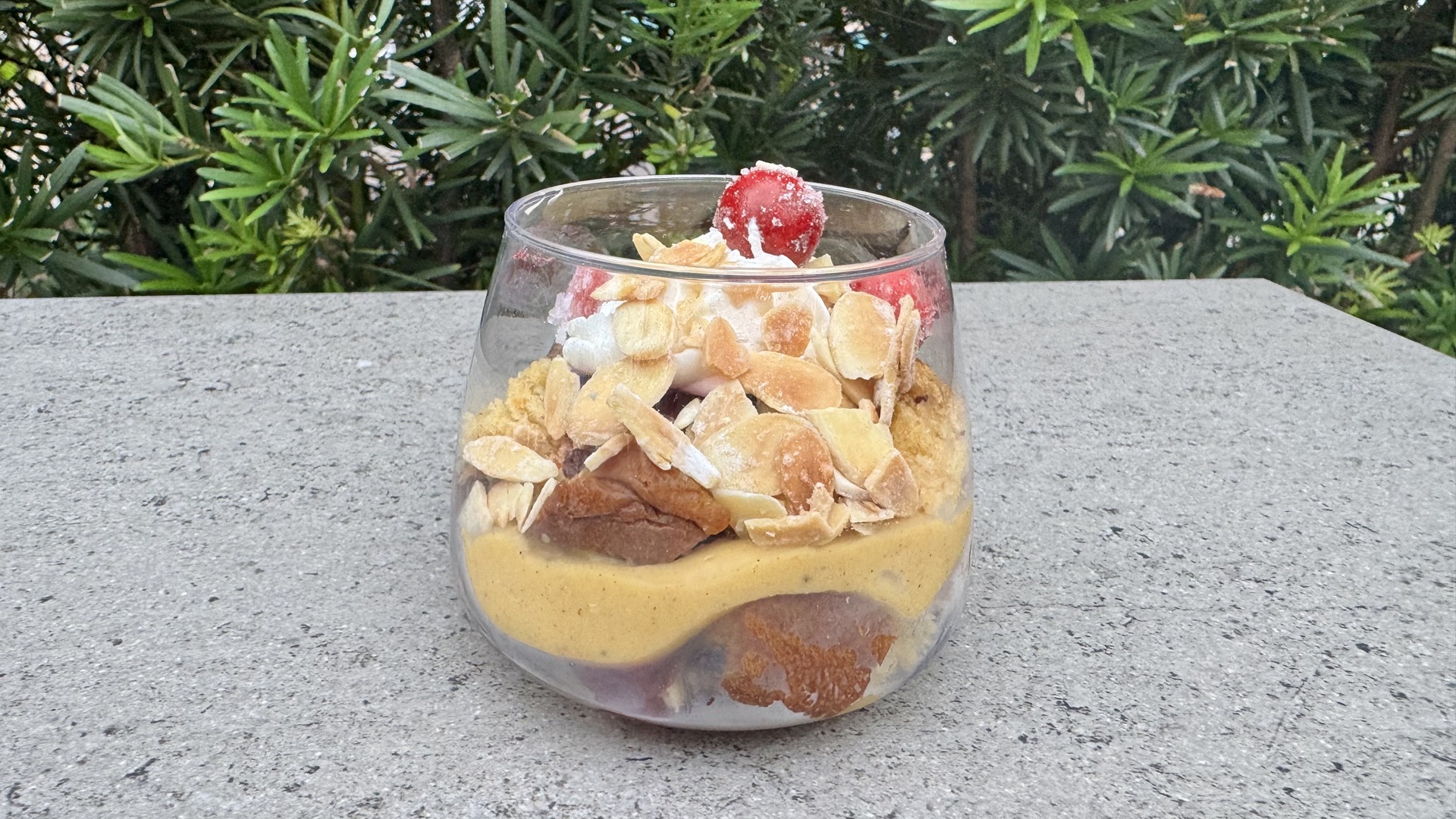 EPCOT Festival Favorites Panettone Holiday Trifle
