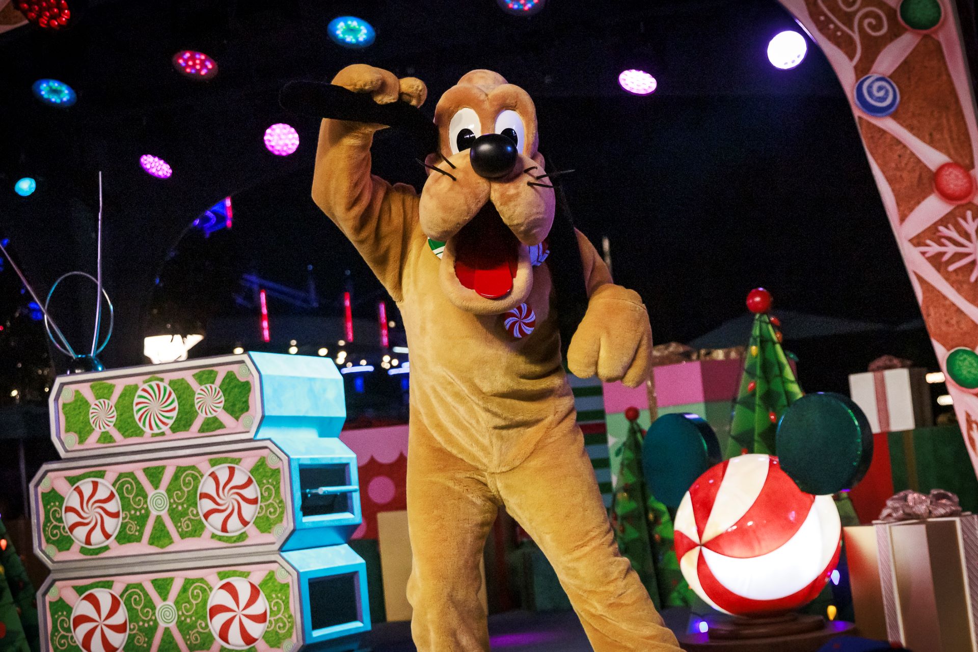 Pluto at Disneyland - Holidays 2025