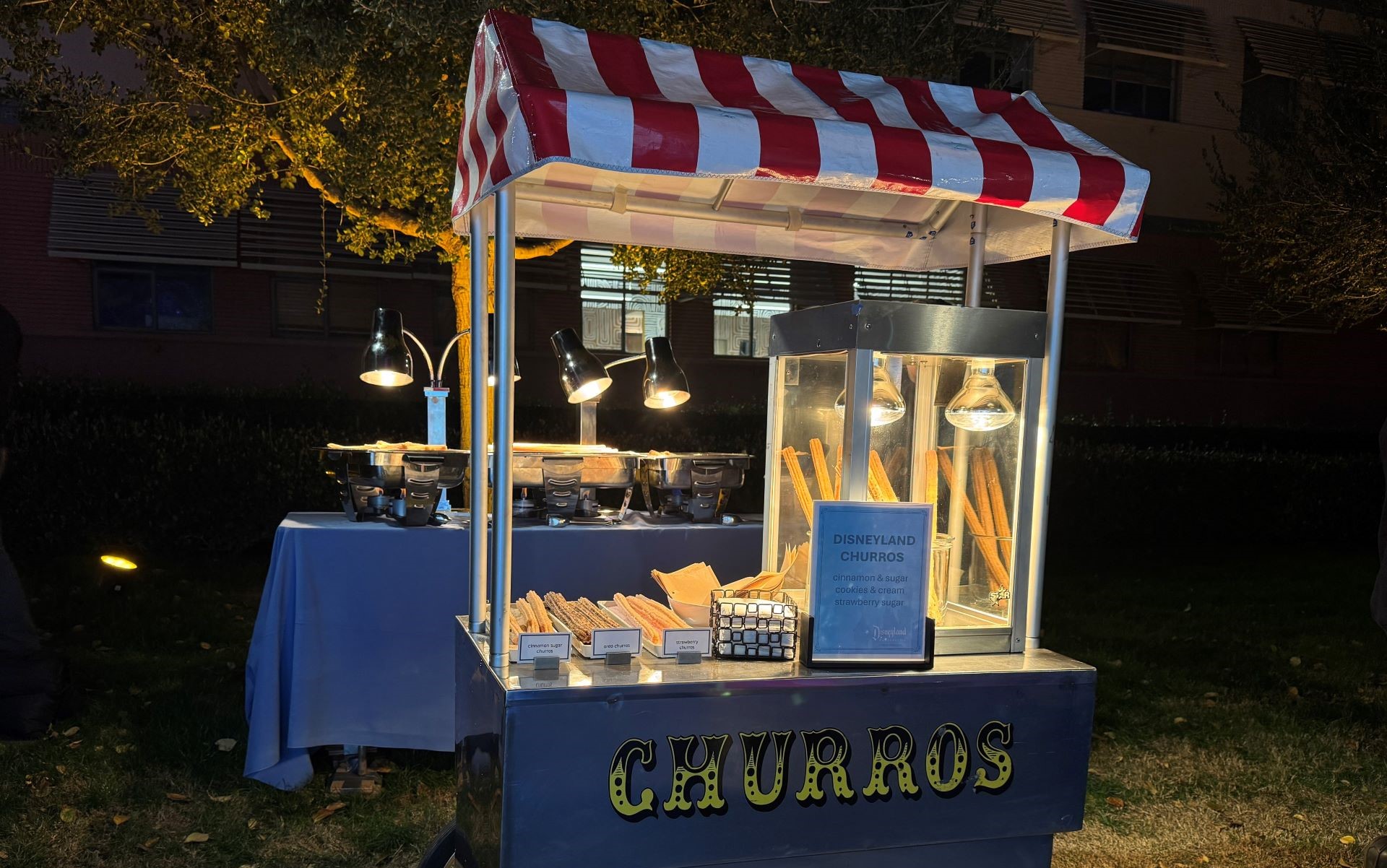 Churro Cart at Disneyland Handcrafted